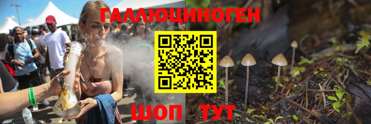 Псилоцибиновые грибы Psilocybine cubensis  Вход с VPN  Северск 